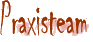 Praxisteam